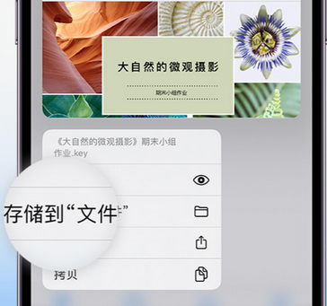 张家港apple维修中心分享iPhone文件应用中存储和找到下载文件