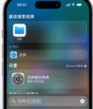 张家港apple维修中心分享iPhone文件应用中存储和找到下载文件 