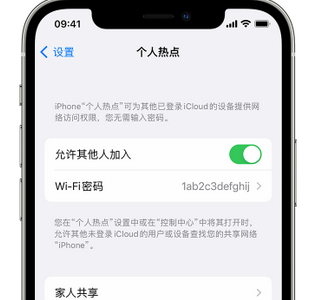 张家港apple服务站点分享iPhone上个人热点丢失了怎么办 