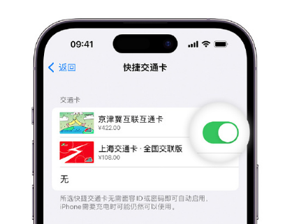 张家港apple维修点分享iPhone上更换Apple Pay快捷交通卡手绘卡面 