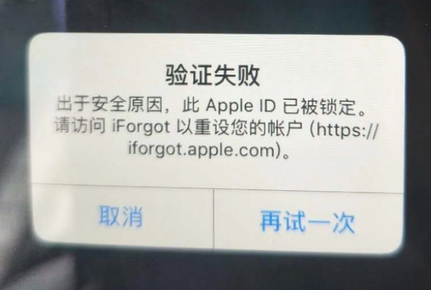 张家港iPhone维修分享iPhone上正常登录或使用AppleID怎么办 