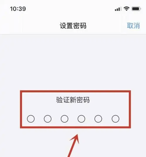 张家港苹果手机维修分享:如何安全的使用iPhone14？iPhone14解锁方法 