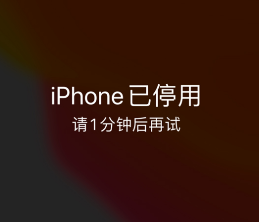 张家港苹果手机维修分享:iPhone 显示“不可用”或“已停用”怎么办？还能保留数据吗？ 