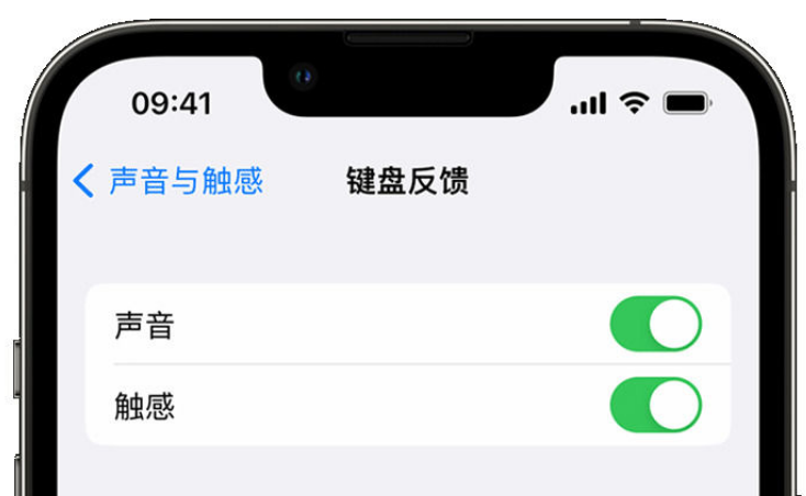 张家港苹果手机维修分享iPhone 14触感键盘使用方法 