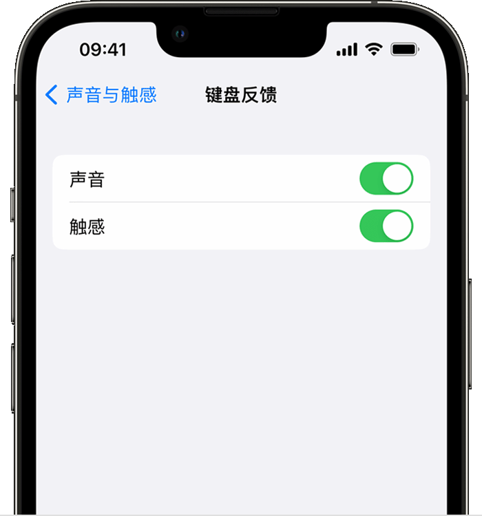 张家港苹果14维修店分享如何在 iPhone 14 机型中使用触感键盘 