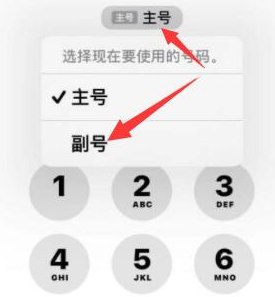 张家港苹果14维修店分享iPhone 14 Pro Max使用副卡打电话的方法 