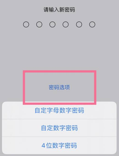 张家港苹果14维修分享iPhone 14plus设置密码的方法 