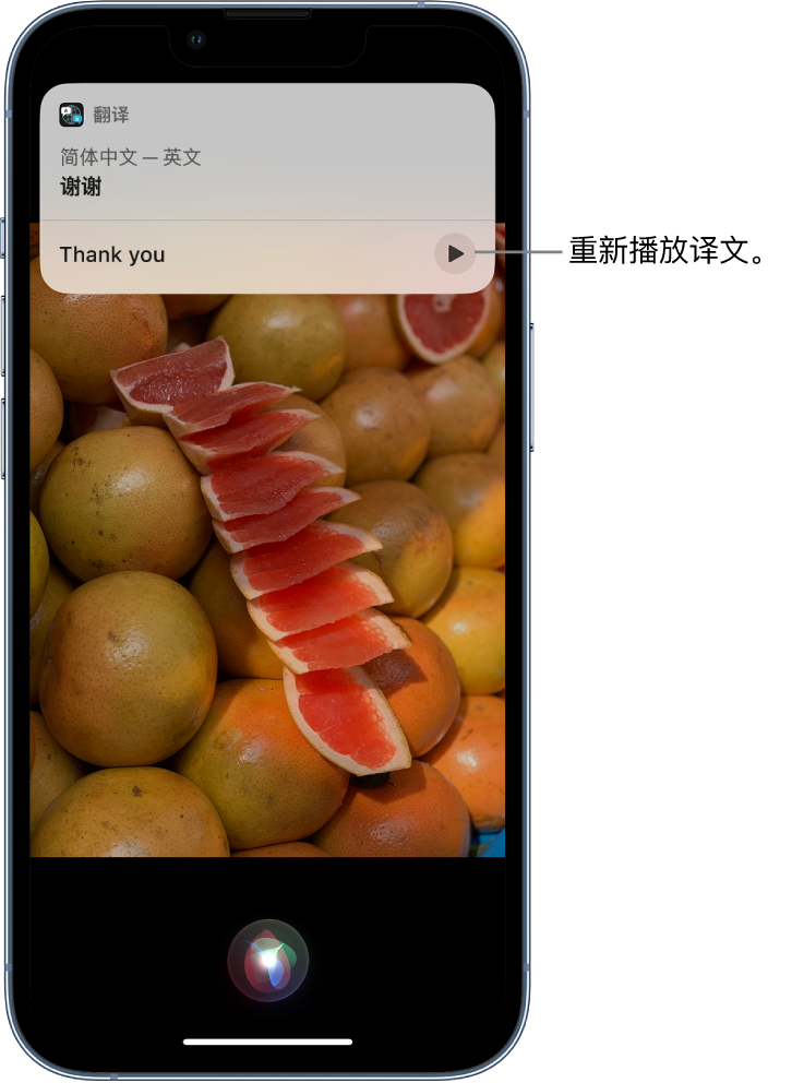 张家港苹果14维修分享 iPhone 14 机型中使用 Siri：了解 Siri 能帮你做什么 