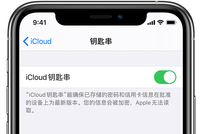 张家港苹果手机维修分享在 iPhone 上开启 iCloud 钥匙串之后会储存哪些信息 