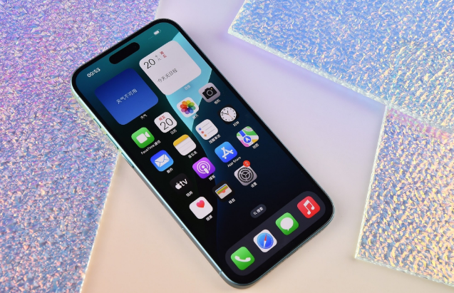 张家港苹果手机维修分享为什么大家不喜欢苹果iPhone 16 Plus 