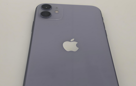 张家港苹果11系统维修分享iPhone11手机系统崩溃无法开机如何解决